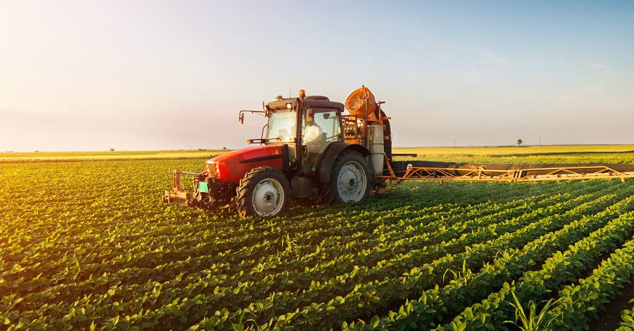 Gallo (CdL): «La Regione lascia senza fondi i giovani agricoltori» 51 agricoltura 5