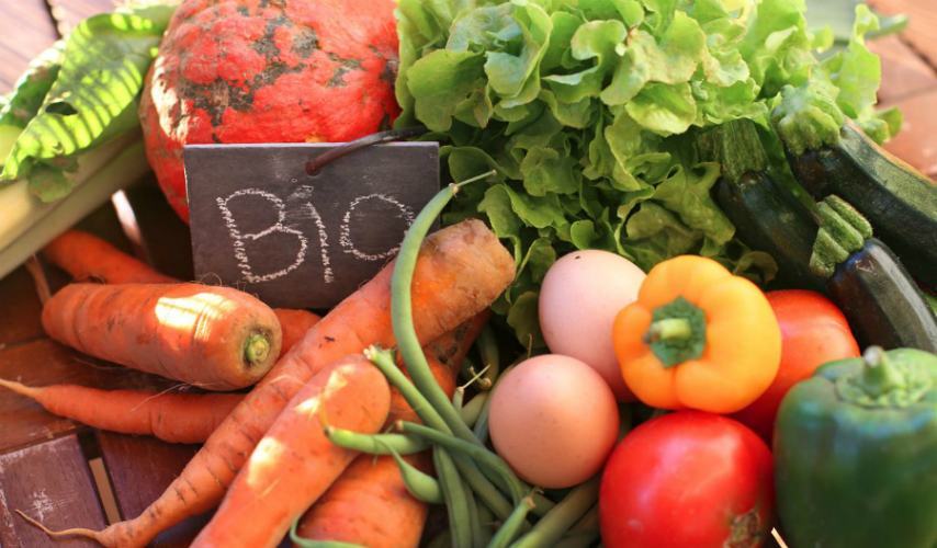 Agricoltura biologica, arrivano i finanziamenti. In Calabria 85mila ettari di superfici bio 51 agricoltura bio 1