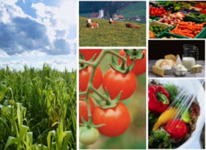 maxi bando 20 milioni agroalimentare