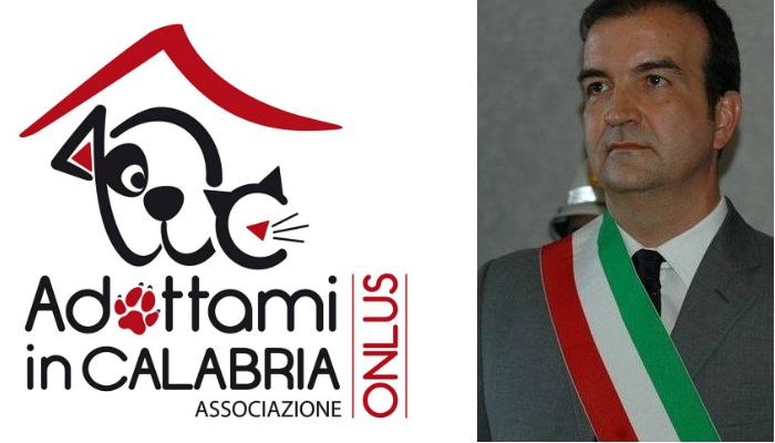 aic scrive ad occhiuto