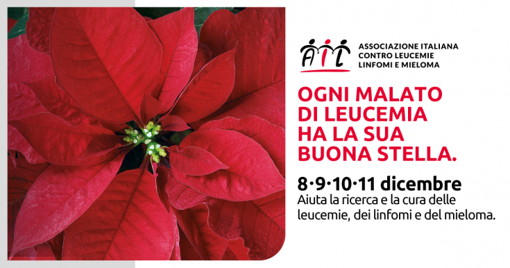 ail leucemia