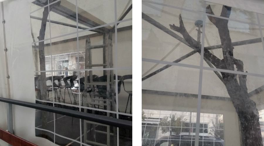 alberi ingabbiati cosenza locale