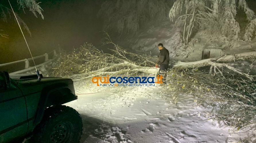 albero 648 montescuro fuoristrada 03