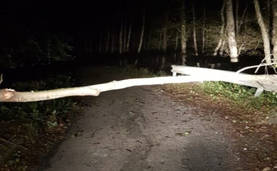 Maltempo: albero cade e trancia la linea elettrica dell'Abatemarco 51 albero abatemarco