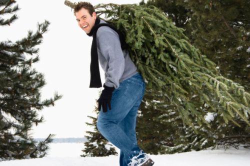 albero di natale vero