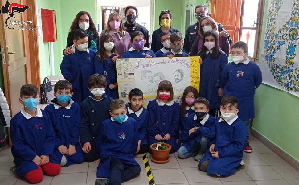 L'albero del Giudice Falcone in 25 scuole della provincia di Cosenza 51 albero falcone 4