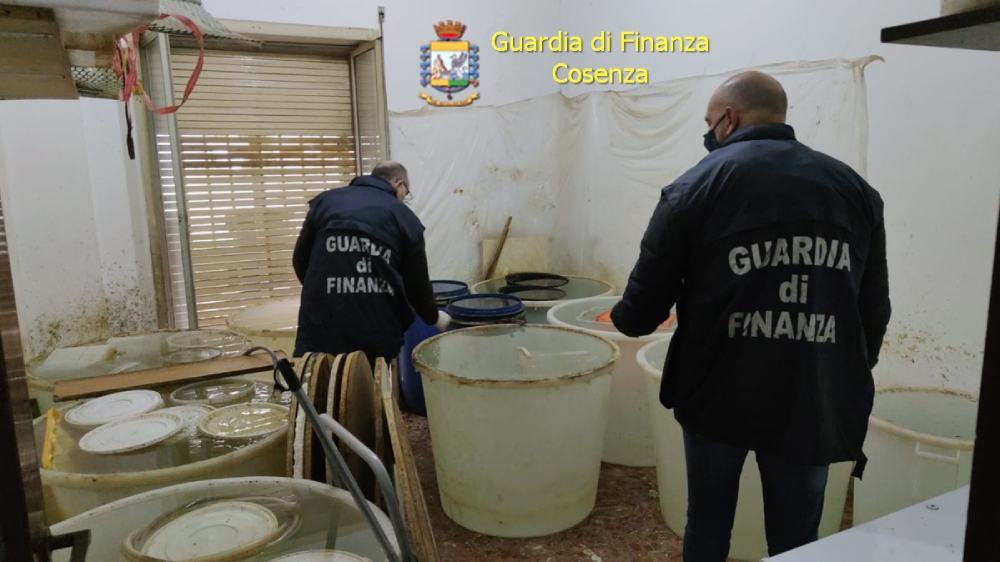 Produceva grappa di contrabbando in un locale di Cosenza, denunciato 51 alcolici contrabbando cinese finanza cosenza