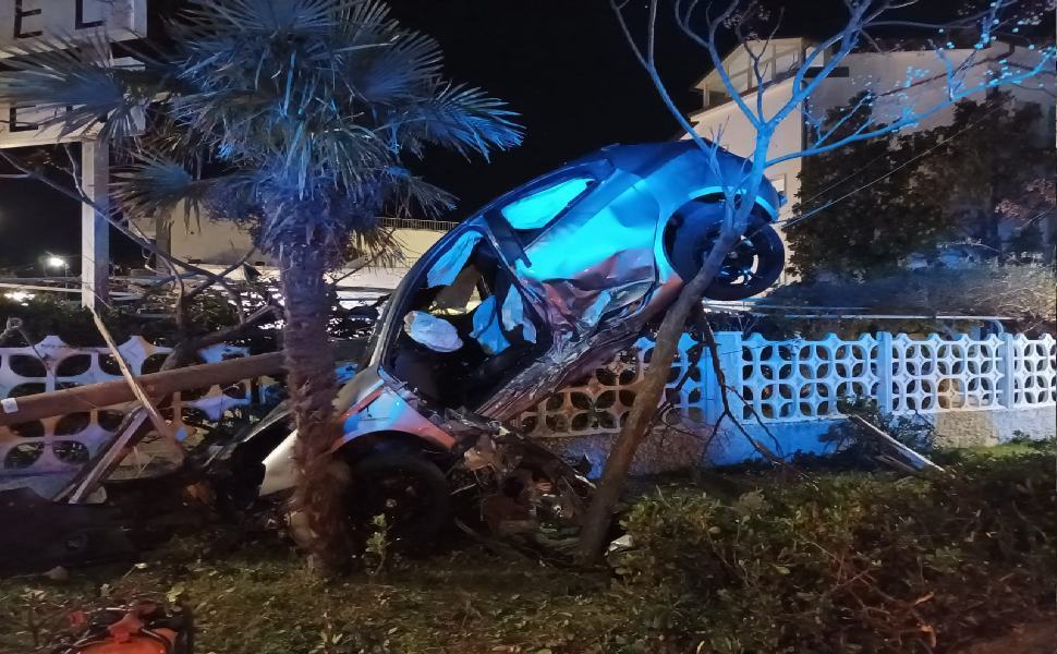 alfa romeo incastrata sugli alberi