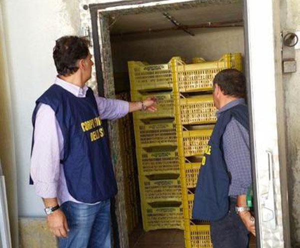 Amantea, sequestrato un laboratorio di fichi trattati con gas tossico. Denunciato il titolare 71 amantea fichi sequestri
