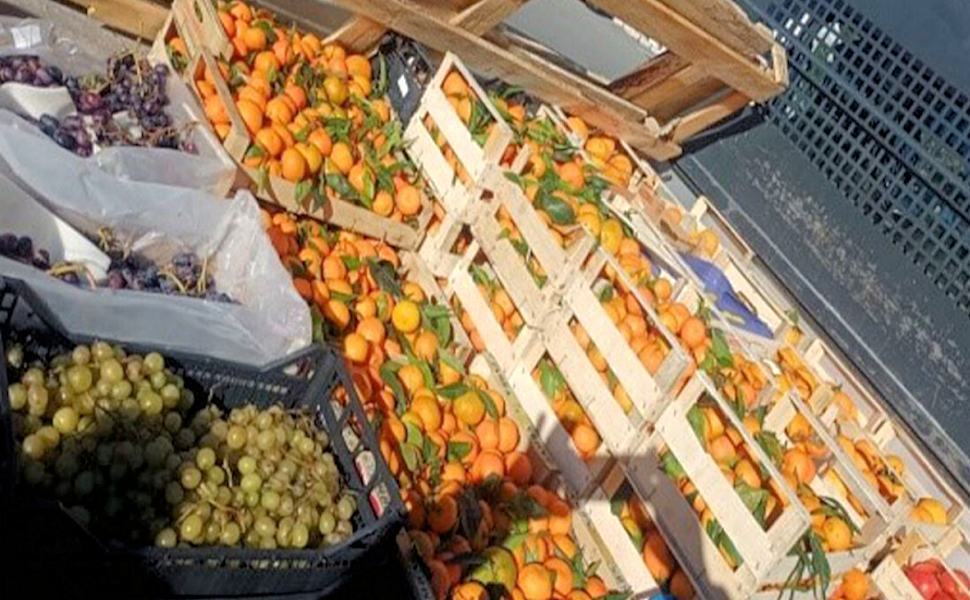 ambulanti ortofrutta2