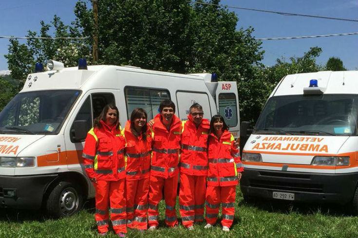 Cosenza, nel territorio dell'Asp le 'ambulanze veterinarie' per i cani vaganti (AUDIO) 55 ambulanza veterinaria cosenza 02