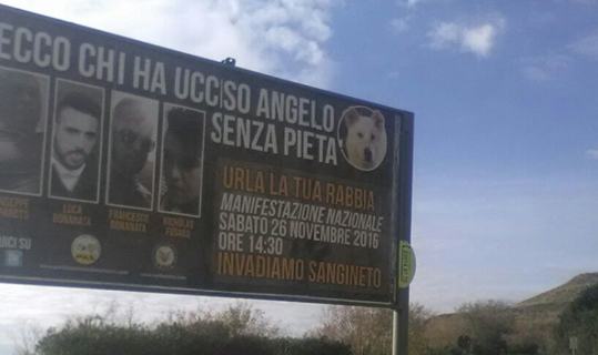 angelo manifestazione 26