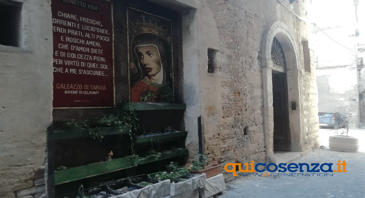 apertura galeazzo da tarsia cosenza vecchia centro storico P 0007