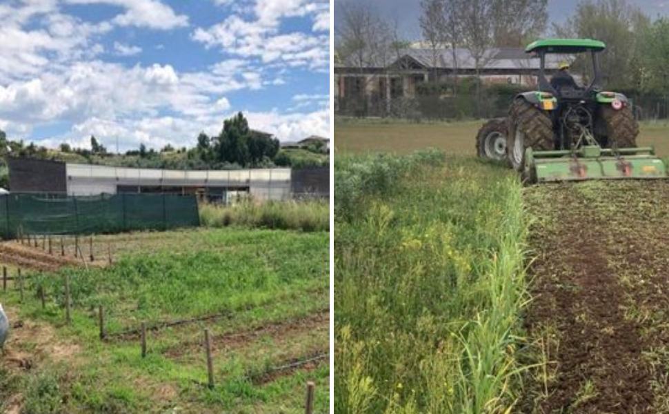 Orti sociali, Arcalabria Cosenza mette a disposizione 14 appezzamenti di terreno 51 arcalabria orti sociali