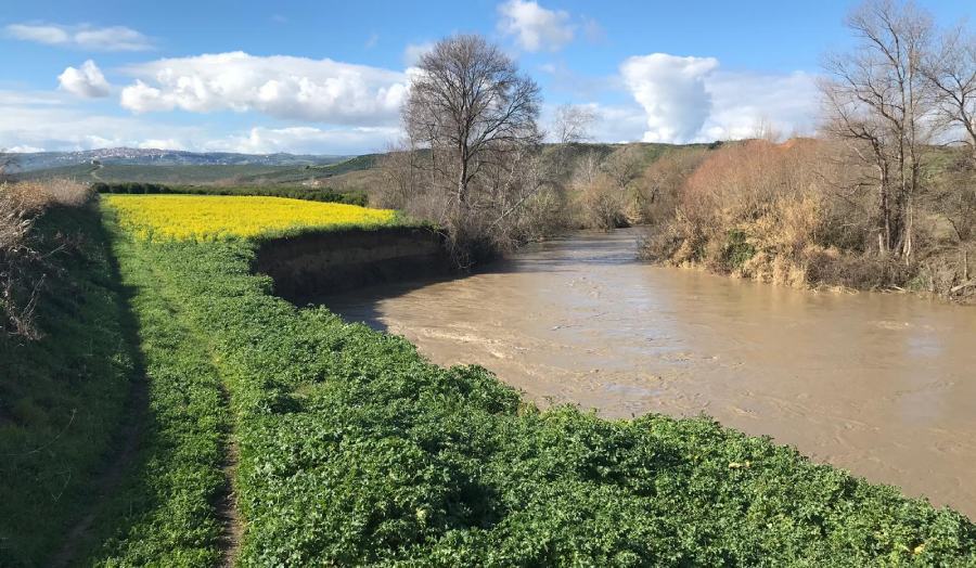 Fiume Crati ingrossato, preoccupazione a Terranova da Sibari 51 argine crati terranova sibari