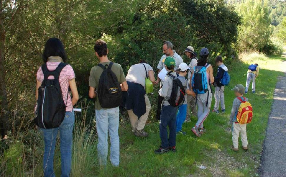 "Gaia", l'associazione nazionale ambientalista mette radici nel cosentino 51 associazione nazionale Gaia