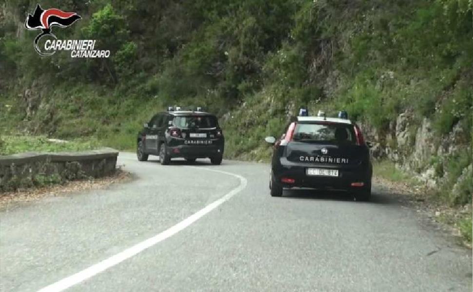 Trovati due fucili rubati e nascosti tra la vegetazione "impedito l'uso ai clan" 51 auto in montagna 1