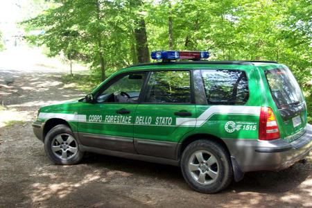autoforestale