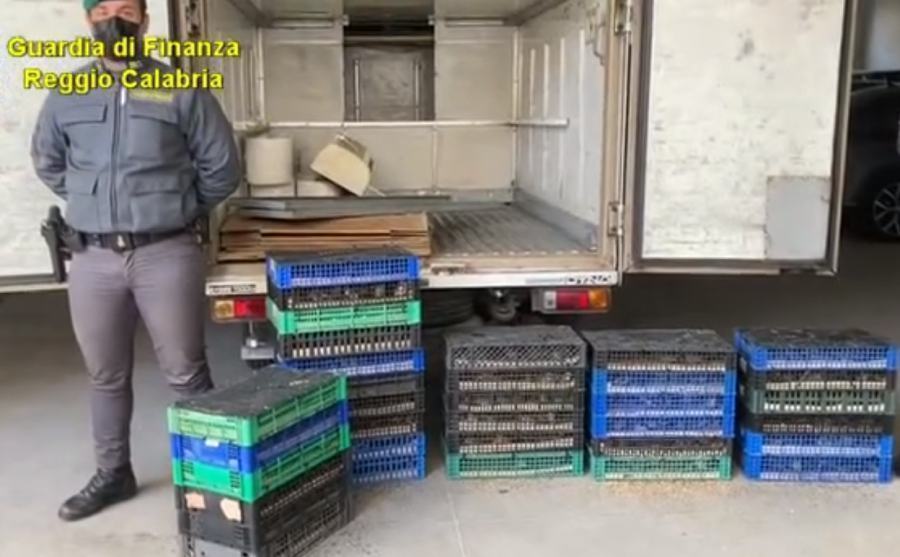 avifauna protetta sequestro villa san giovanni