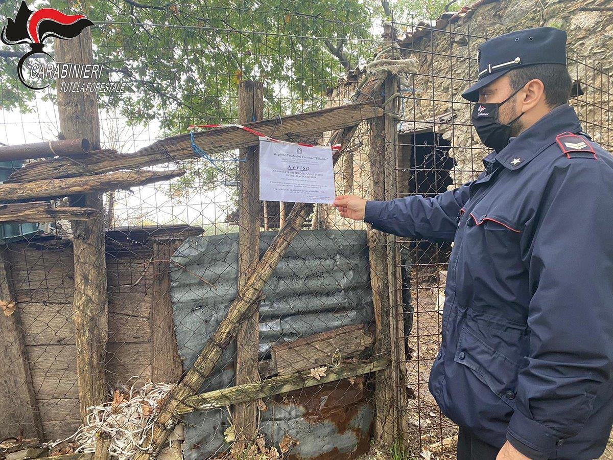 Abbandono di rifiuti in un'area agricola, denunciato un allevatore di Rota Greca 53 azienda sequestro