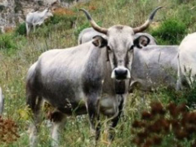 b065124cef5ae6971e0fd77ff3665214