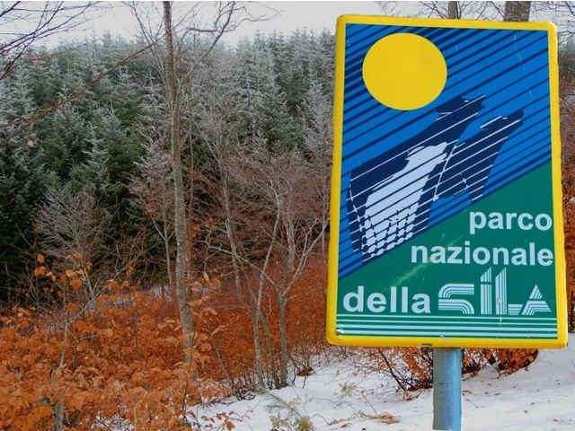'SilaLavoro', obiettivo: creare occupazione 51 b07140a6caf14c7eaeacf5a1d94dbf7e