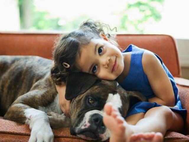 b2606b368457d75a985f51e6f1bfd35a