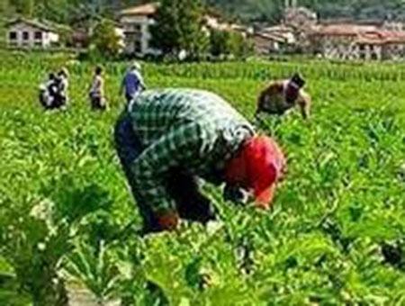 b3ede92dcf775799d9e6a120e09f5c47