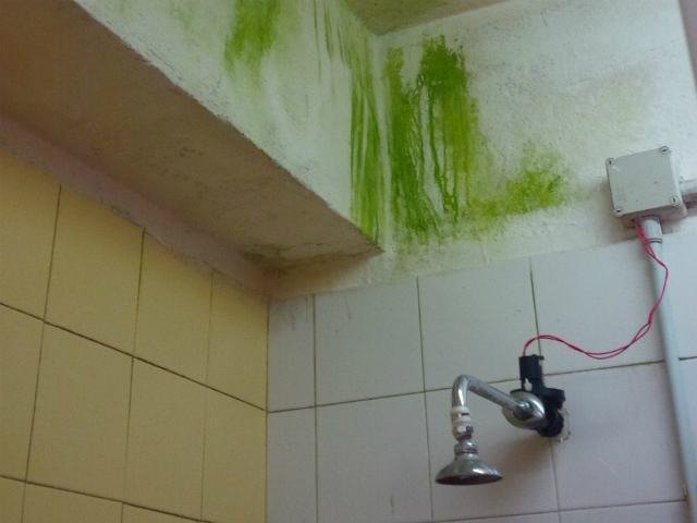 La piscina comunale di Campagnano in condizioni fatiscenti da tempo senza manutenzione (FOTO) 77 b41abe6b5dc277cff81a0ad9a9820336