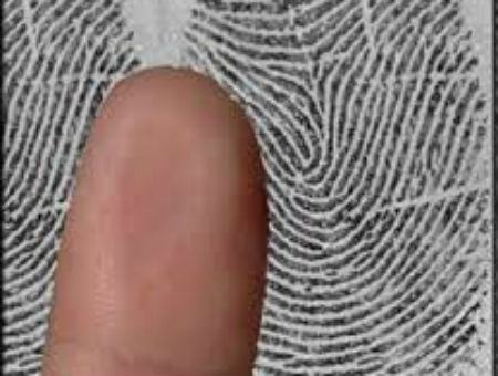 b52ef552597782bde00c16f8fc50a286