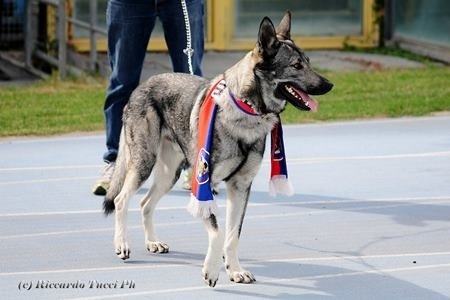 b6ce59f7f4fa0a6a432faae6192d7ca1