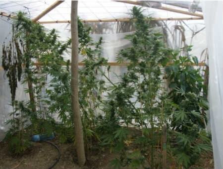 b70f01654c34d3cde28e67e94c0657cf