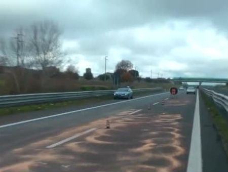 b72afea146b0a4135cb43a085ab070c8