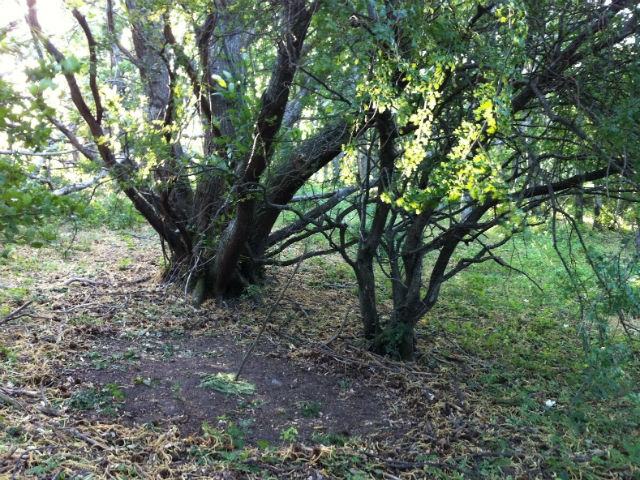 b80ea3ea38e44cb9b41c65c79ffde000