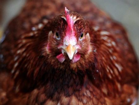 b93fbb18111e68d3773685a2f2711280