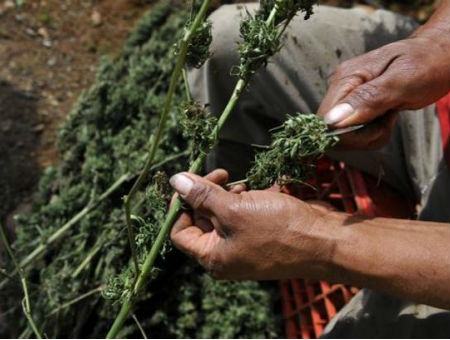 b9e484d163f19ad5749787331d8221a6