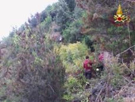 ba8d09c2b5758afe6182d0b4a7a2a2c6