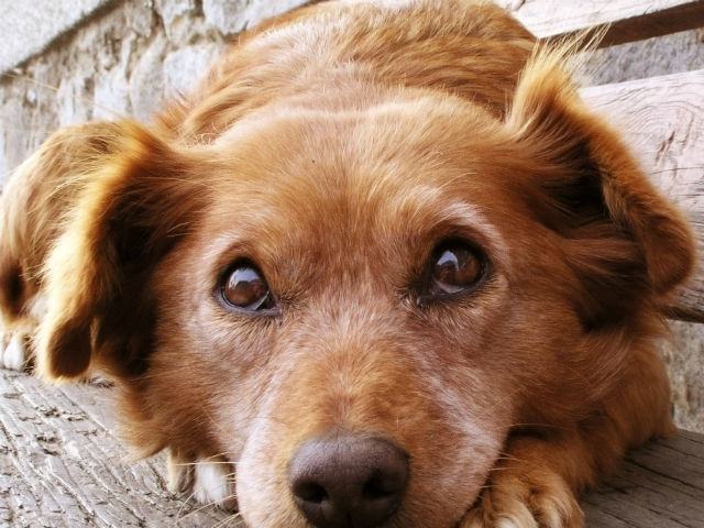 bad3fd4395cb6ee59180b6f9daddf470