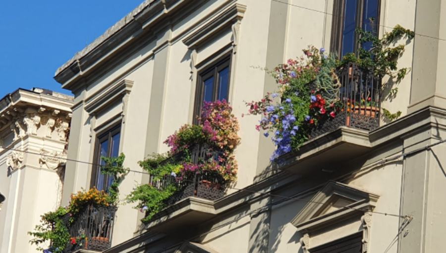 balconefioritopresceltoacastrocillariluglio2020