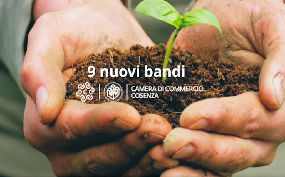 Cosenza, la Camera di Commercio finanzia le imprese: contributi da 5.000 a 10.000 euro 2 bandi camera di Commercio Cosenza