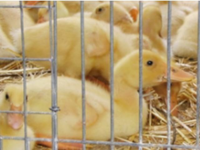 bb460ad7bbf34fd60525677f46fda3e2