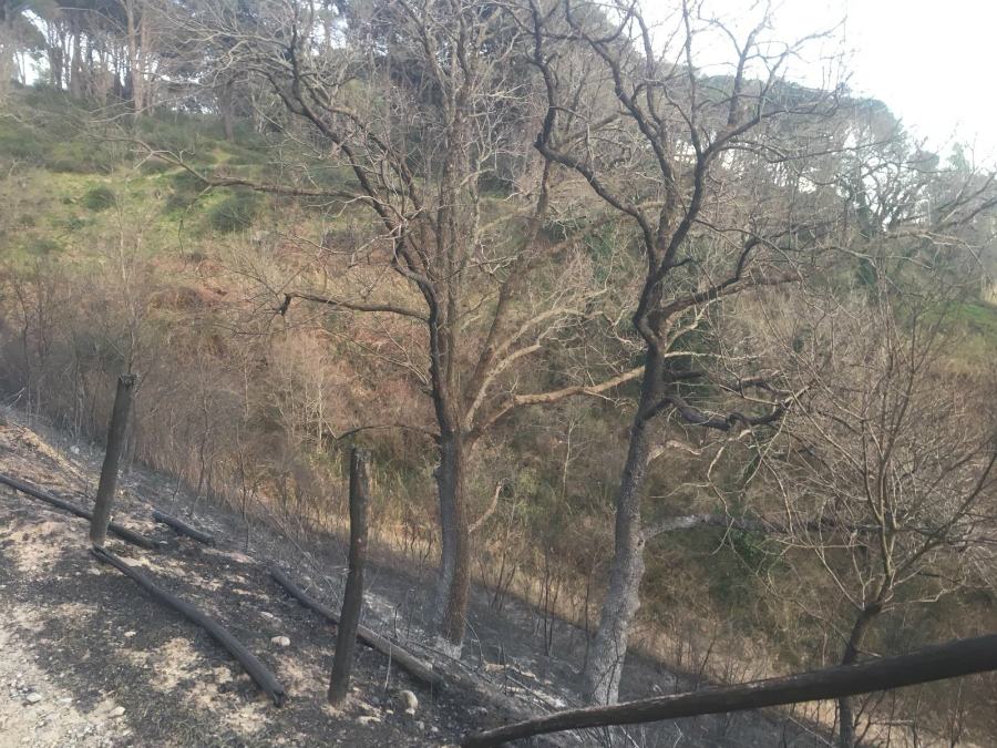 bb584644 b728 45bf 8871 4bfc2adda790