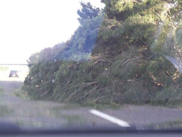 bb5aa8d6aa13061d6e5b8dc0b8ce2ce3