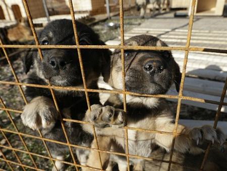 bb69e2d5211ac437a67b219089601e1e