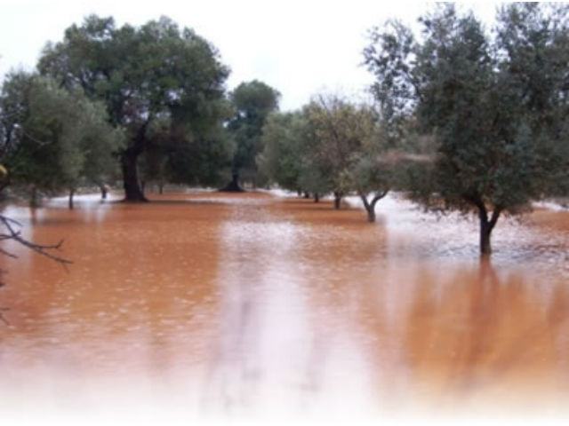 bb6f84fbc5accb1cc66d51112312de0f