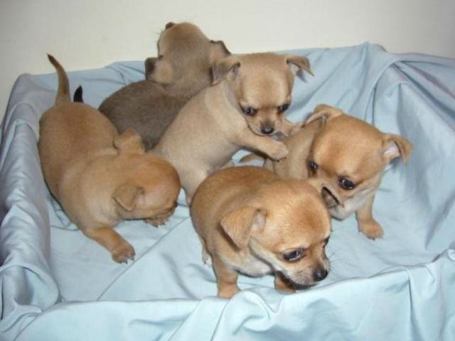 bbddf62f90810cd46f576e13c5c04d9b