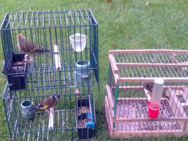 bc235e3b996fb45b401bdb50827df5a7