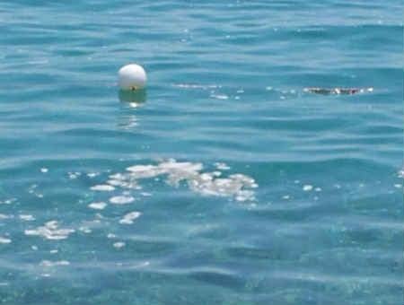 bc9a2c24d780b6cf960d4bdb21dc004b