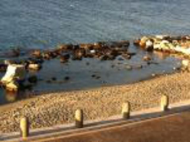 bcb5605d060f213528b596ad736fd7d9