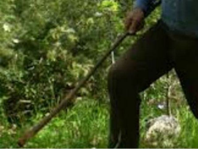 bd819e50ddd865ced85c73dec01cb799